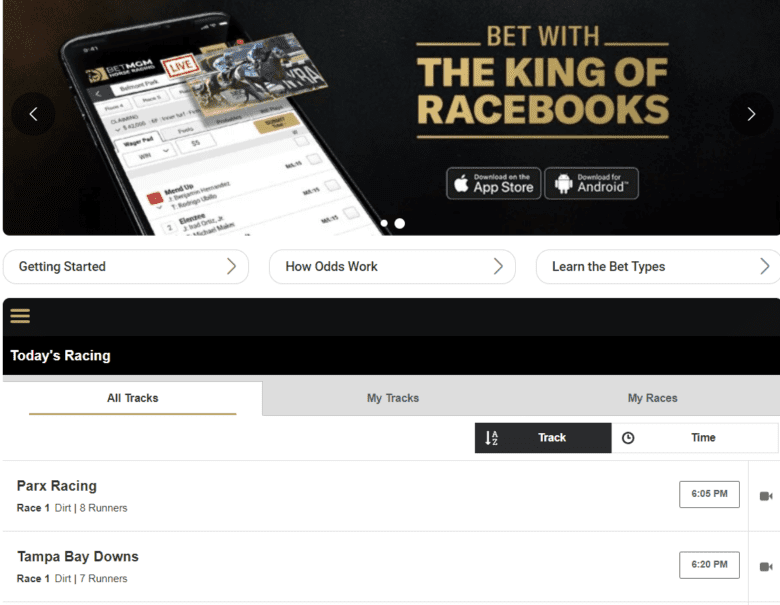 betmgm horse racing wagering betmgm horse racing wagering