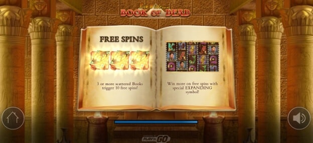 Book of Dead free spins Book-of-Dead-free-spins