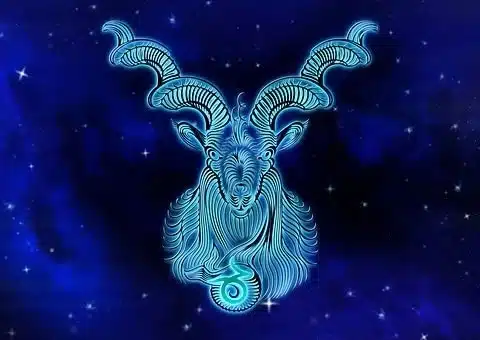 Capricorn Capricorn