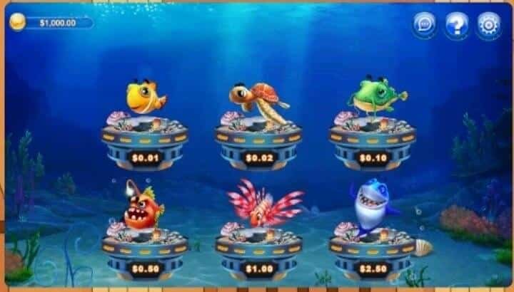 Fish Catch Gambling Fish Catch Gambling
