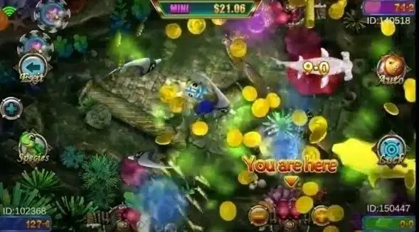 Fish Chopper Fish Chopper