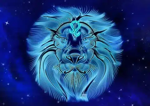 Leo Leo