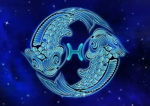 Pisces Pisces