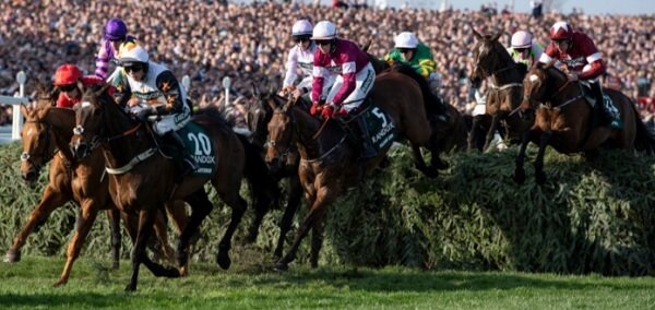 Virtual Horse Racing sites US Virtual Horse Racing sites US