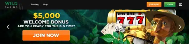 Wild Casino bonus Wild Casino bonus terms
