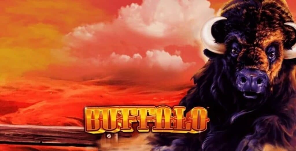 buffalo-slot