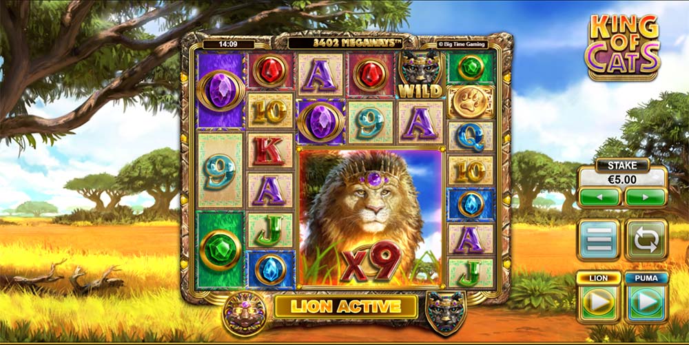 king of cats slot king-of-cats-slot