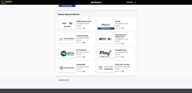 BetMGM banking methods