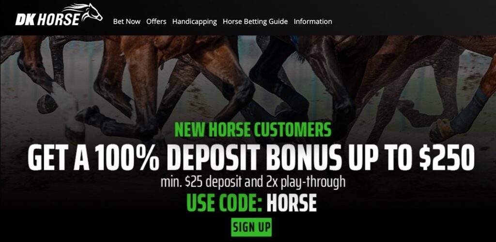 dk horse bonus dk horse bonus