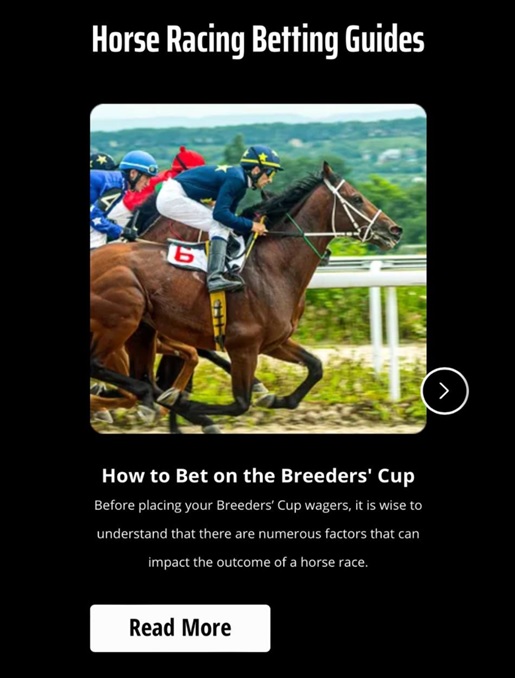 dk horse guides dk horse guides