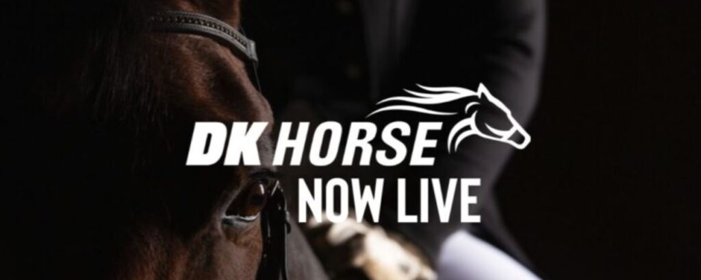 dk horse review dk horse review