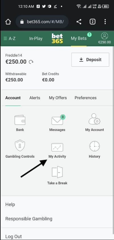how to find your profits losses on bet365 how to find your profits losses on bet365
