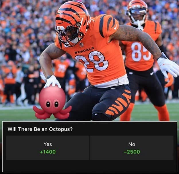 octopus bet nfl octopus bet nfl