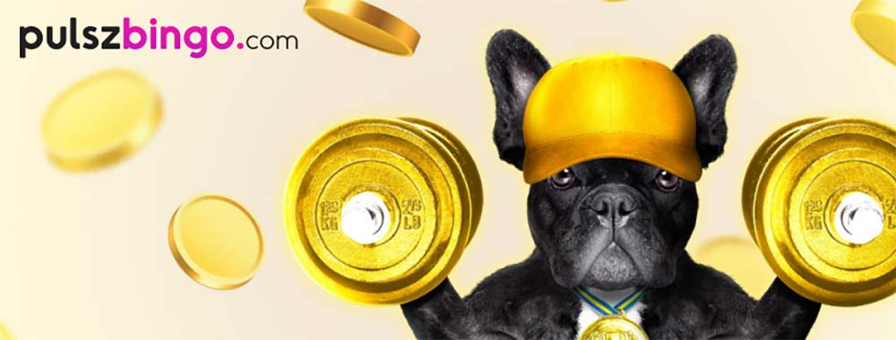 pulsz bingo review header